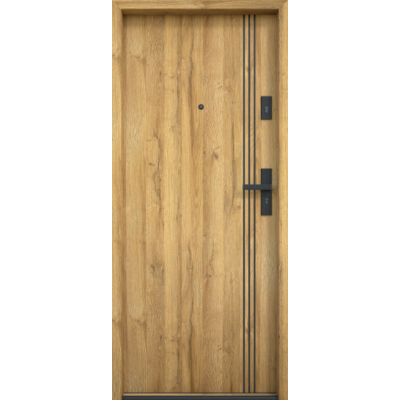 Drzwi Bastion Alu Black – nowoczesne czarne wstawki